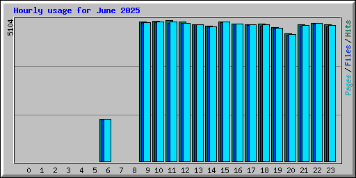 Hourly usage for June 2025