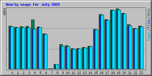 Hourly usage for July 2025