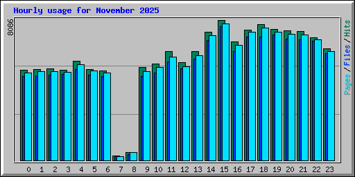 Hourly usage for November 2025
