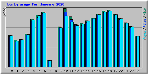 Hourly usage for January 2026