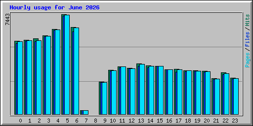 Hourly usage for June 2026