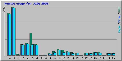 Hourly usage for July 2026